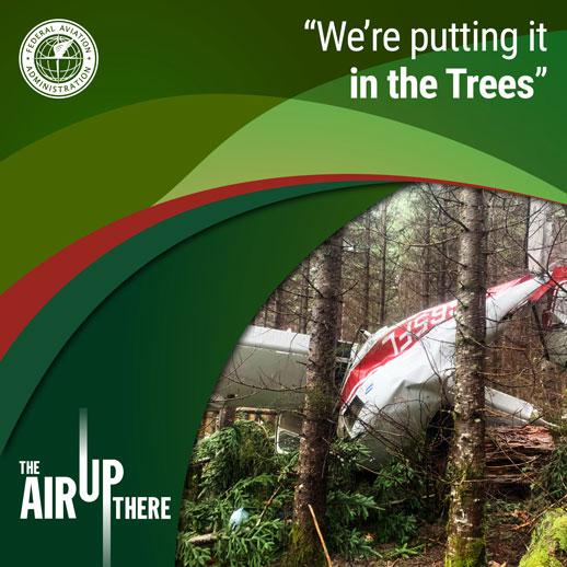 “We're putting it in the trees.”